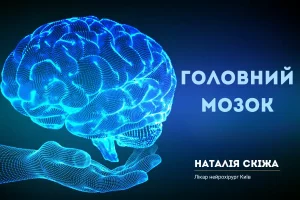 Головний мозок Кибірніж Скіжа Наталія