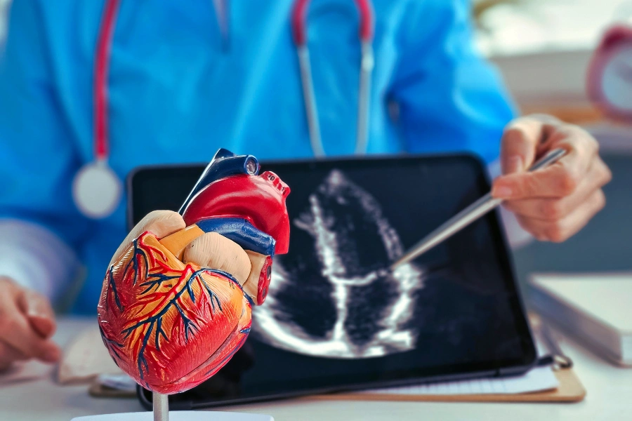 Коли потрібно робити УЗД серця: симптоми, які не можна ігнорувати - Нейрохірург Наталія Скіжа 2026