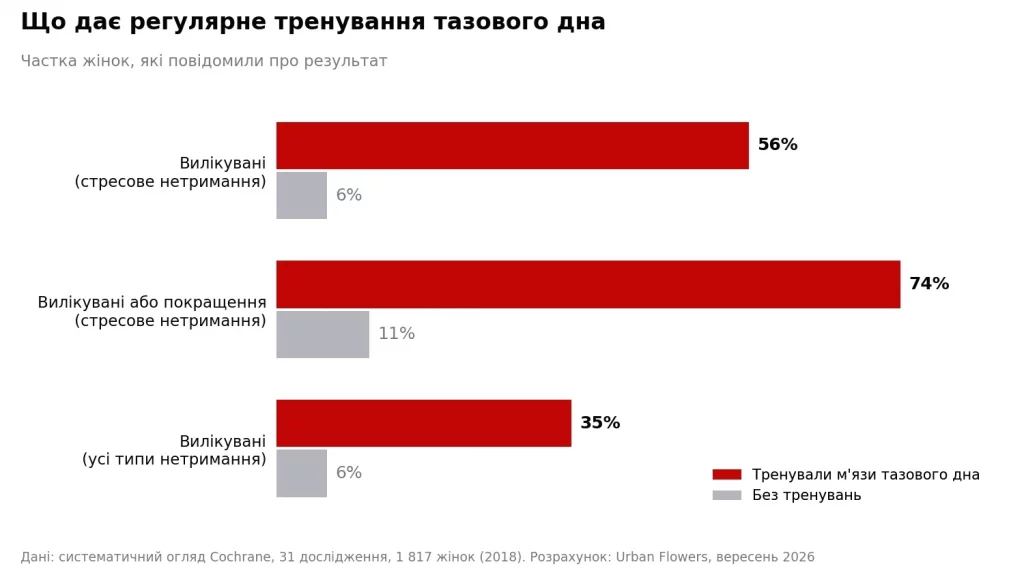 Вправи Кегеля: що кажуть дослідження і як тренуватися правильно Вправи Кегеля: що кажуть дослідження і як тренуватися правильно - Нейрохірург Наталія Скіжа 2026